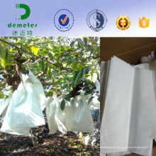 Sac de papier d&#39;emballage imperméable biodégradable fait sur commande pour l&#39;emballage de fruit